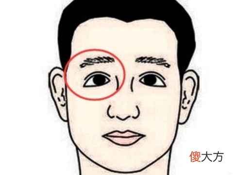 详细分析什么面相的人心术不正