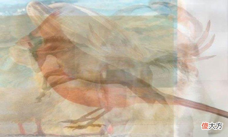 一张图片多个意思 一图多意思图片