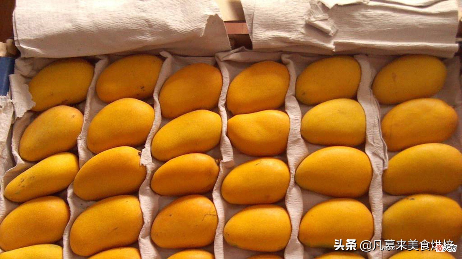 土豆为什么不能放冰箱 土豆不能放冰箱