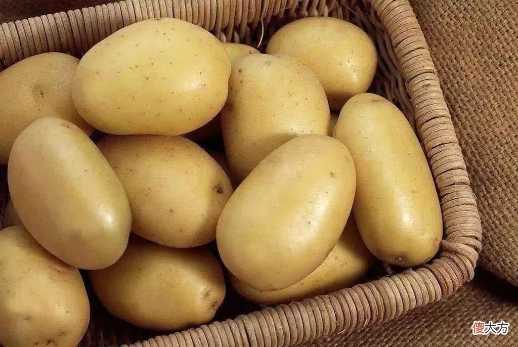 保存土豆有好方法 保存土豆的方法