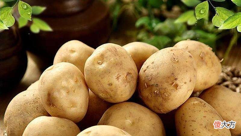 保存土豆有好方法 保存土豆的方法
