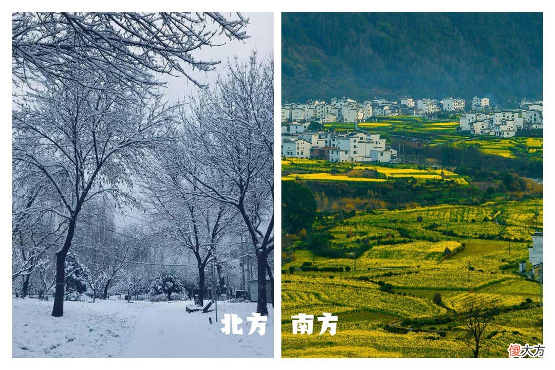 为什么土豆囤进冰箱反而不发芽 为什么土豆放冰箱还会发芽