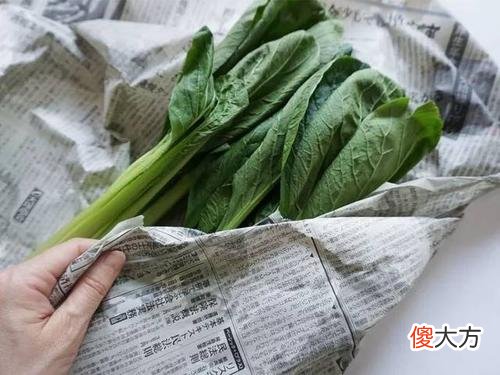 都以为塞进冰箱囤菜万无一失了 菜放进冰箱