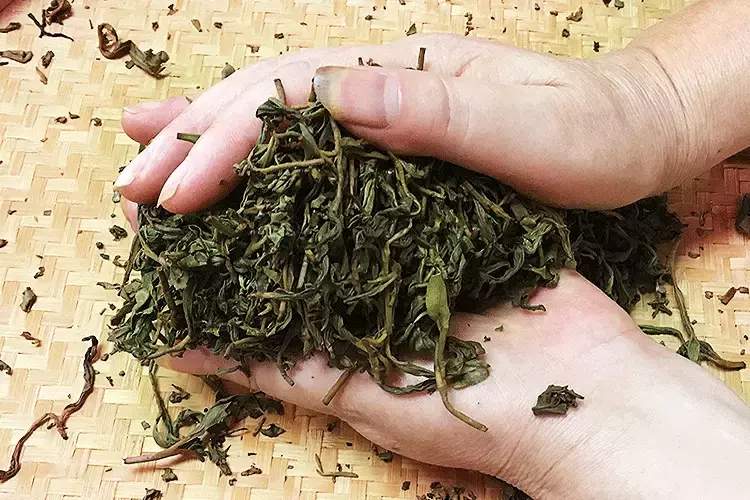 一杯雅到极致的茶 一杯风雅茶叶