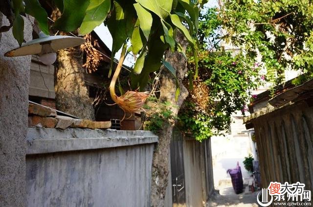 【爱历史】巷遇·都督第巷：抗倭名将俞大猷的英雄故事