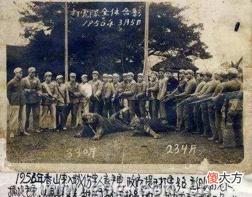 【爱历史】湖南人民打虎记，打虎队用机枪扫射后，“百虎围村”三天三夜