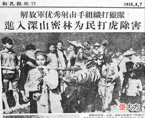 【爱历史】湖南人民打虎记，打虎队用机枪扫射后，“百虎围村”三天三夜