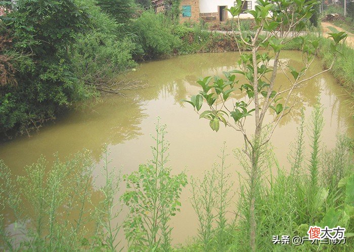 不会找鱼窝的钓友看过来 钓鱼如何找鱼窝