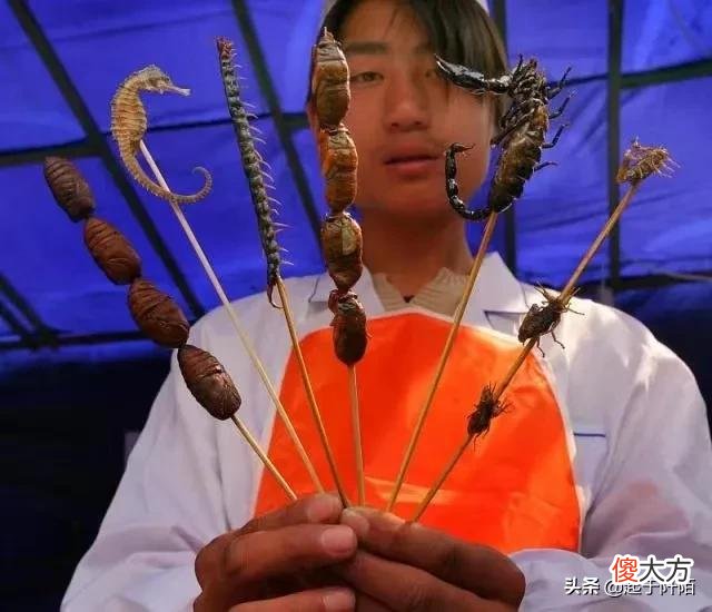 带你看看真实的柬埔寨经济特区 柬埔寨经济特区有哪些