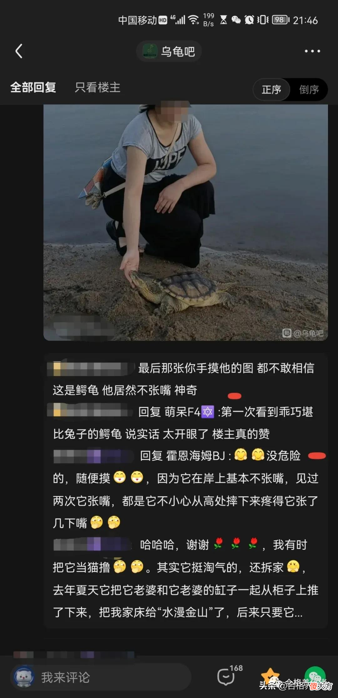 打破你对鳄龟的固有认知