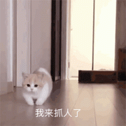 【游戏迷】小盾牛魔天秀二闪击飞三人！冲破枷锁，XYG和西安WE谁能斩获首胜？