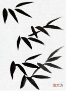 意笔竹叶的画法 画竹叶怎样用笔