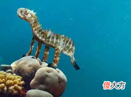 把熊孩子的简笔画 熊孩子的简笔画图片大全