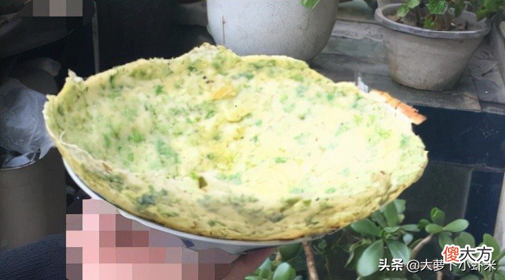 柳树树叶也能吃 柳树的叶能吃吗