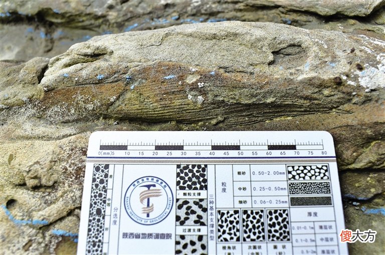 陕北发现重要恐龙足迹化石