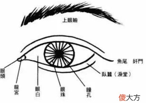 从双眼看面相知运势吉凶