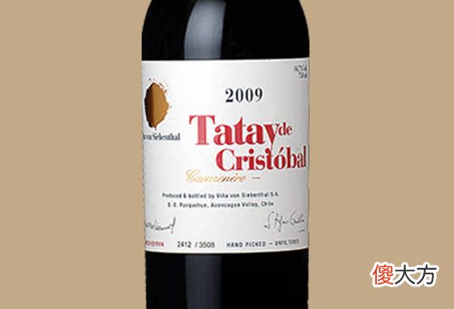葡萄酒文化与品鉴 葡萄酒的魅力