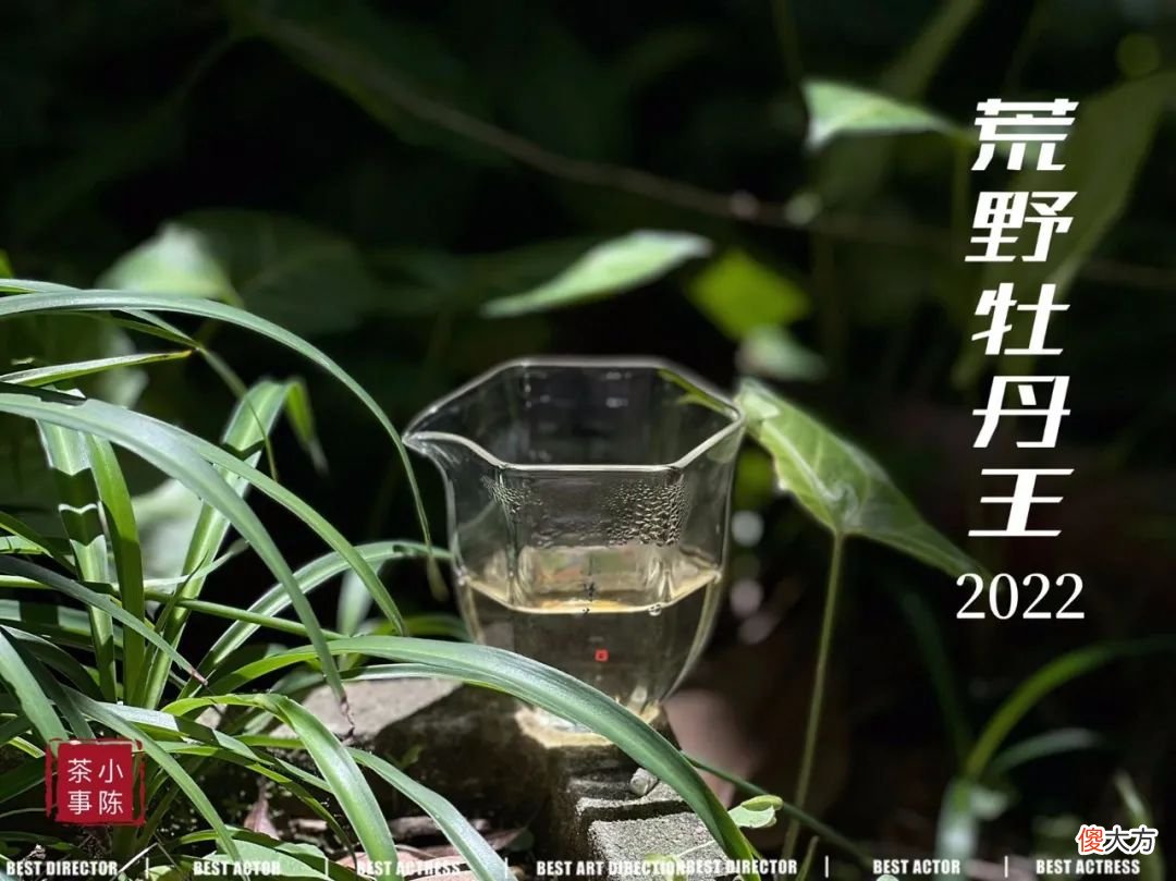六大茶类哪些需要这么做 六大茶类如何讲解