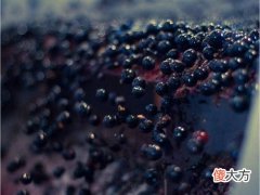 去水果店也能做葡萄酒闻香练习是真的吗