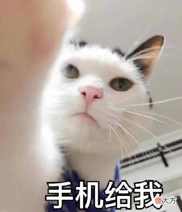 2021年的网络热梗 2021网络热梗有哪些