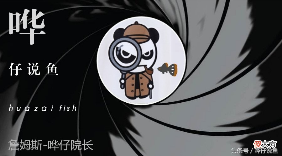 有多少人吃过虎皮鱼的亏 虎皮鱼吃多了