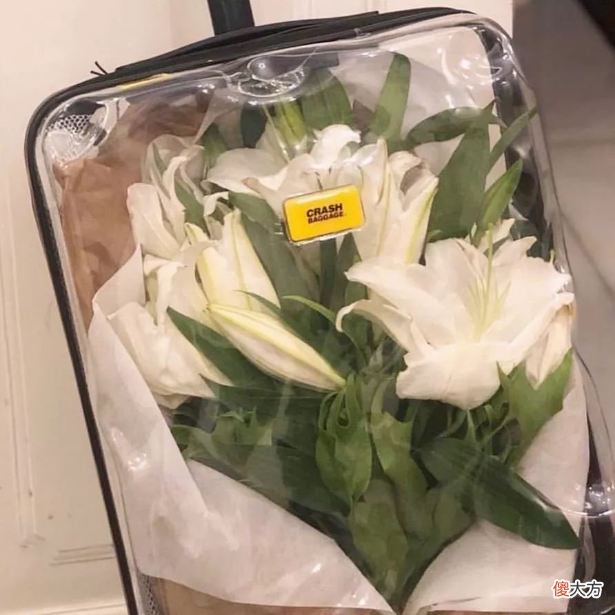 千万别悔恨自己怎么带了一只这么丑的行李箱 行李箱太丑我不想带怎么办