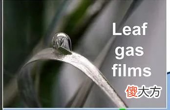 吃了一辈子大米 一辈子只吃米饭