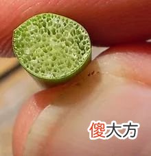吃了一辈子大米 一辈子只吃米饭