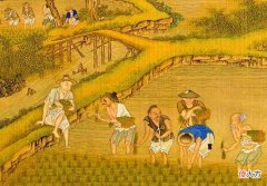 袁米带大家了解下大米的发展史 大米的历史与发展