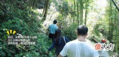 【爱历史】四川泸州再现汉代崖墓群