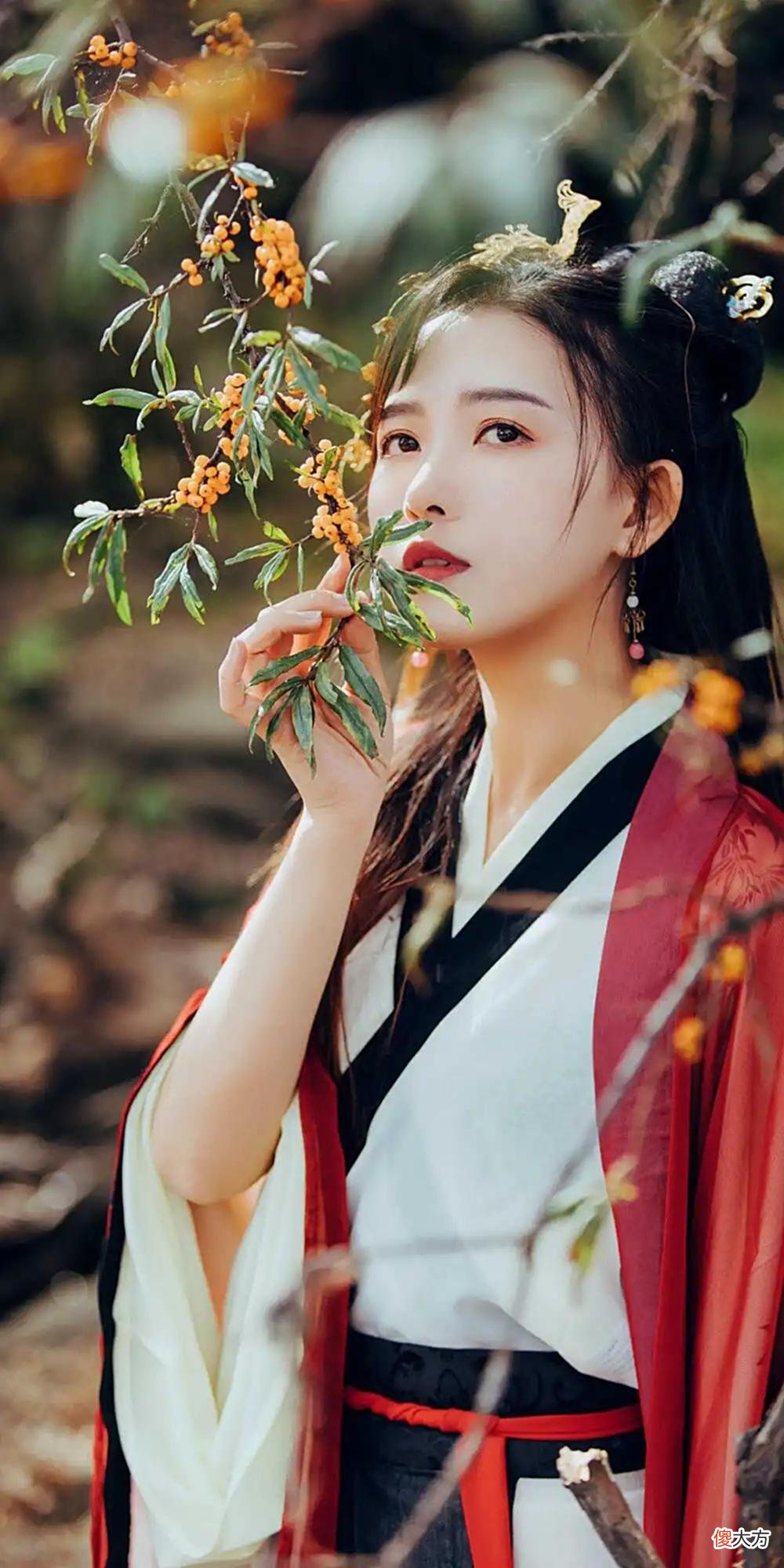 【爱历史】《嫡女毒妃》世子妃，世子今晚还加药吗？冲榜9.9分，超好看