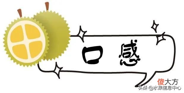亲测时下热门的三款榴莲：金枕，托曼尼，猫山王