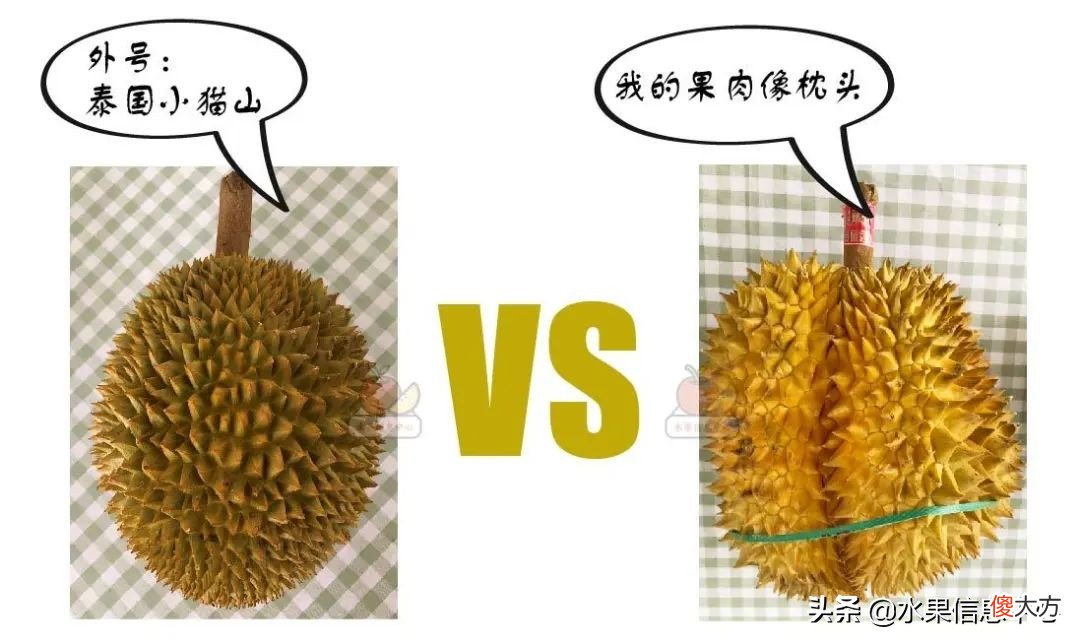 亲测时下热门的三款榴莲：金枕，托曼尼，猫山王