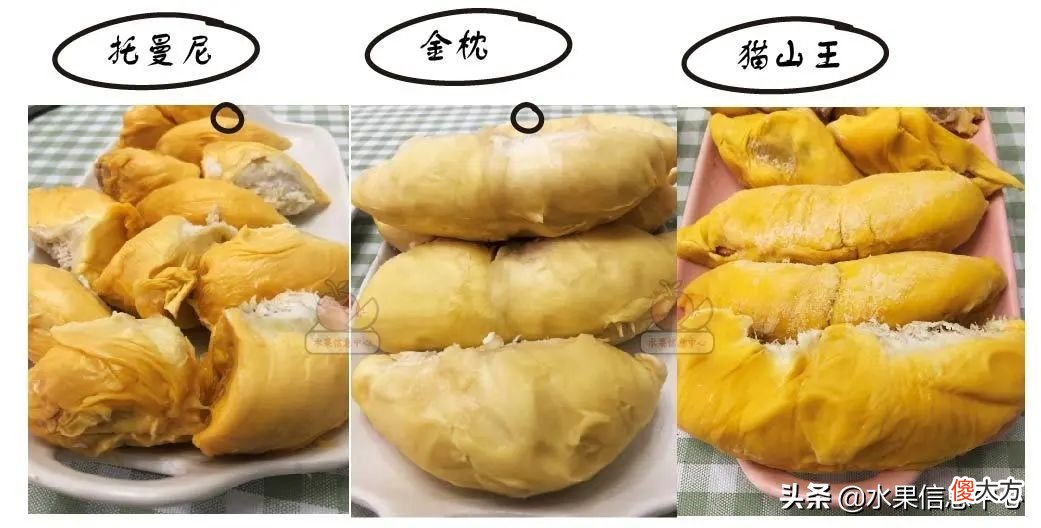 亲测时下热门的三款榴莲：金枕，托曼尼，猫山王