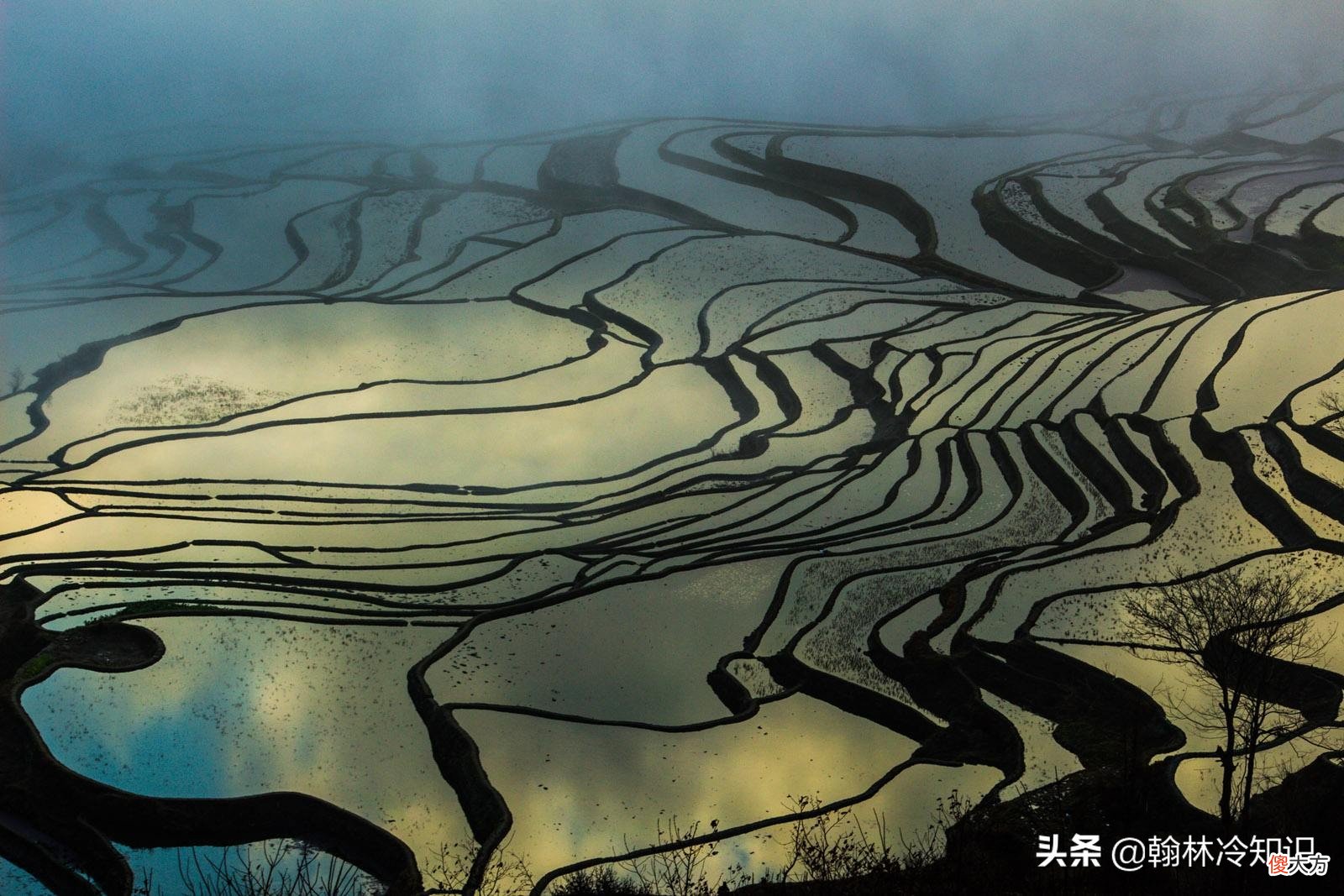 而不是长江流域 长江流域,无疑是