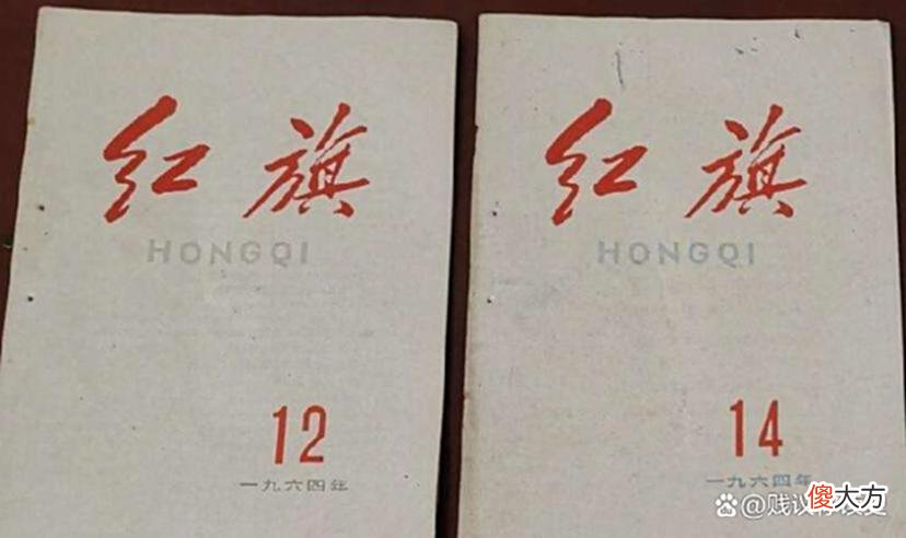 【历史故事】关锋之女关成华和王广宇的对话