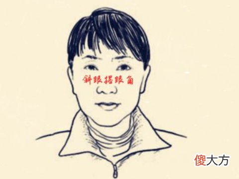 男人塌鼻子面相如何