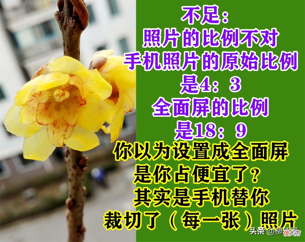 好照片也会变成废照片 把照片变成老照片
