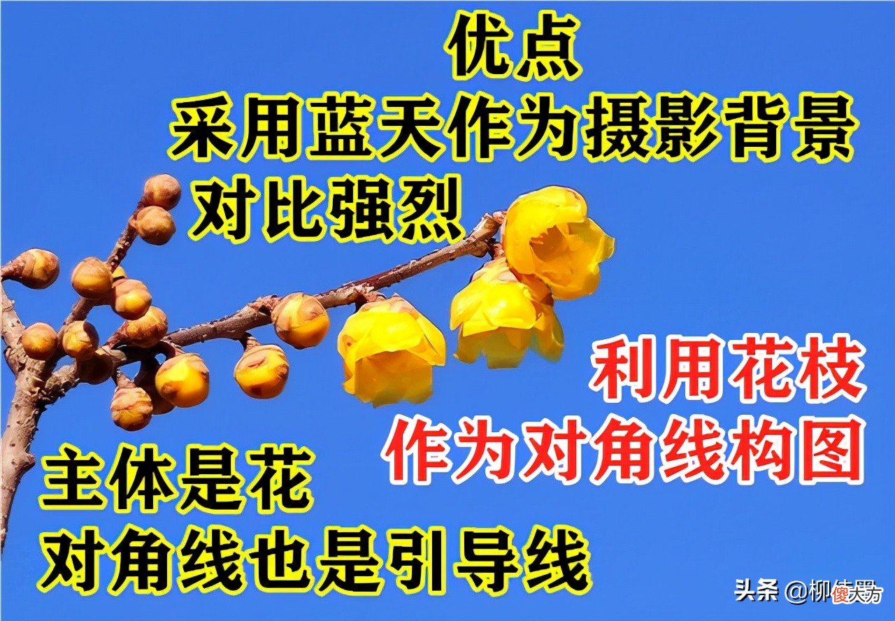 好照片也会变成废照片 把照片变成老照片