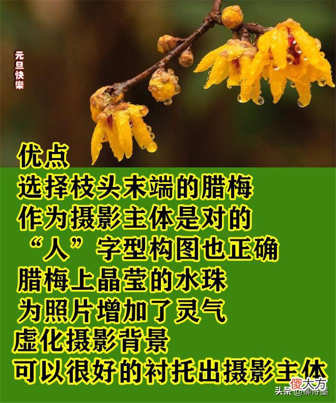 好照片也会变成废照片 把照片变成老照片