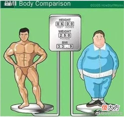 每天摄入热量多少为宜 一般每天摄入多少热量