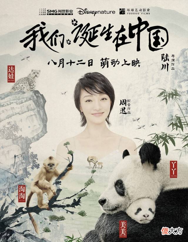 飞机上你能想到要带的东西都在这里了 飞机上需要带的东西