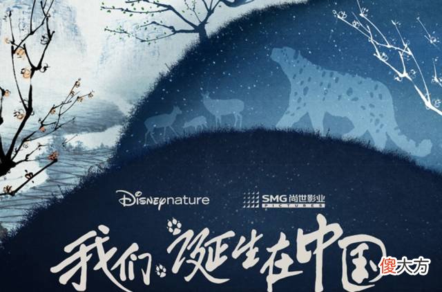 飞机上你能想到要带的东西都在这里了 飞机上需要带的东西