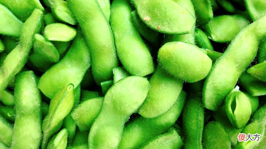 毛豆可不是蔬菜 毛豆是不是蔬菜