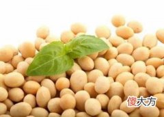 我们需要了解的大豆的知识 关于大豆的知识