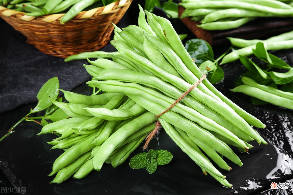 四季豆好品种 四季豆品种哪个好