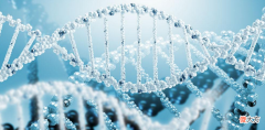 同时拥有DNA和RNA 人体内同时有DNA和RNA吗