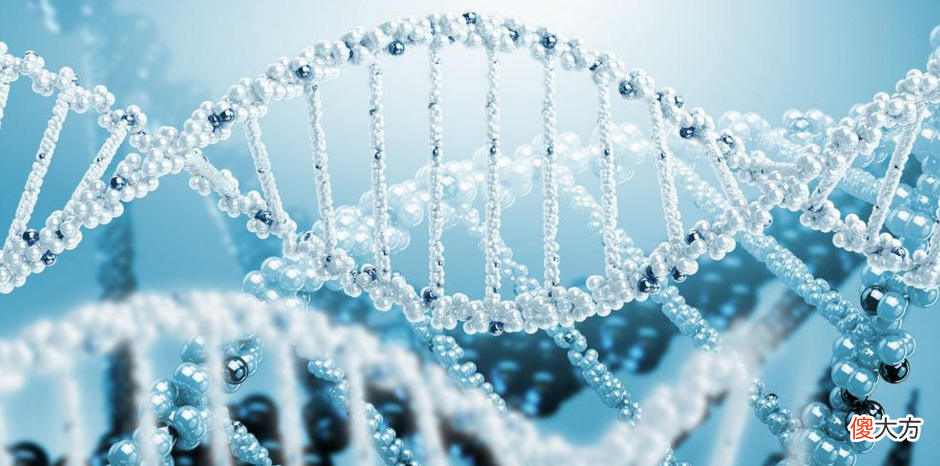 同时拥有DNA和RNA 人体内同时有DNA和RNA吗