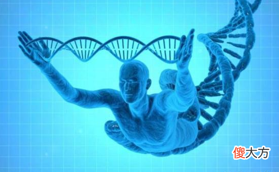 同时拥有DNA和RNA 人体内同时有DNA和RNA吗