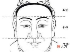 耳朵小的男人面相详解大全